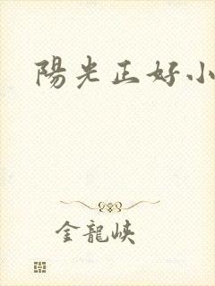 阳光正好小说