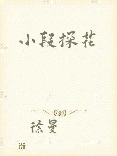 小段探花