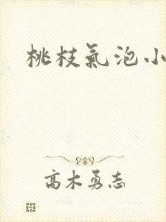 桃枝气泡小说