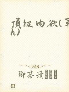 顶级肉欲(军高h)