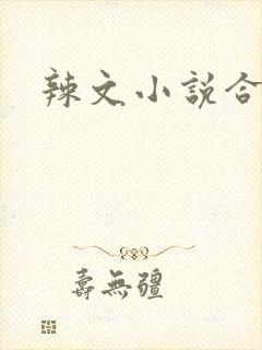 辣文小说合集封面