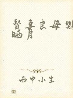 贤妻良母 鹦鹉晒月封面