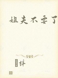 姐夫不要了封面