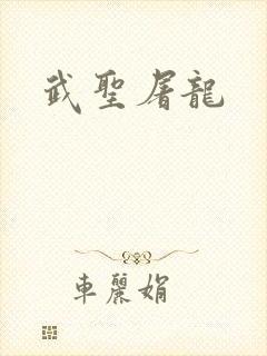 武圣屠龙封面