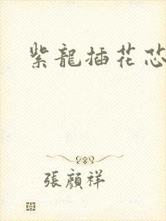 紫龙插花芯