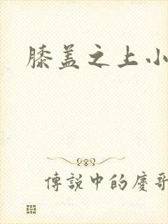 膝盖之上小说
