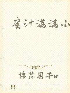 蜜汁满满小说