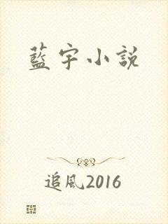 蓝宇小说封面