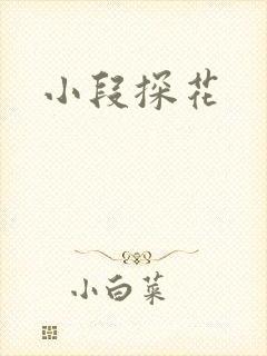 小段探花