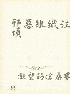 邪恶组织注意事项封面