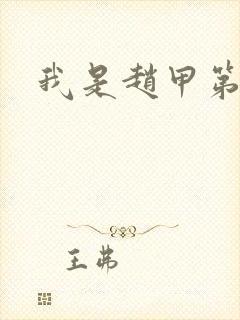我是赵甲第小说封面