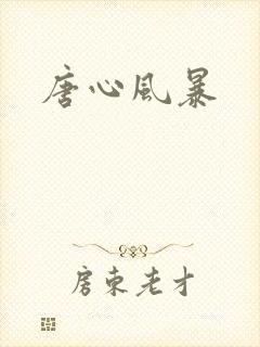 唐心风暴