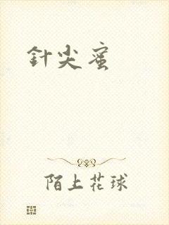 针尖蜜