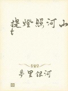 提灯照河山txt
