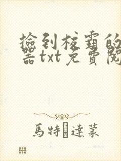 捡到校霸的遥控器txt免费阅读by阳阳
