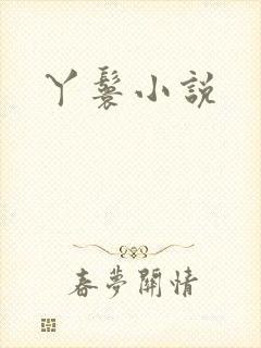 丫鬟小说封面