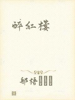 醉红楼封面
