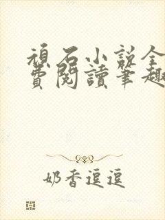 顽石小说全文免费阅读笔趣阁