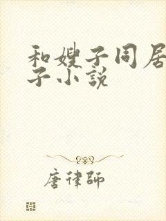 和嫂子同居的日子小说封面