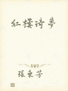 红楼琦梦封面