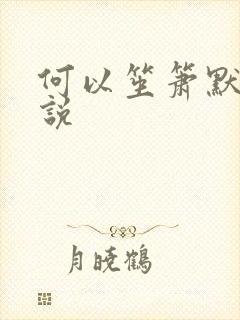 何以笙箫默 小说