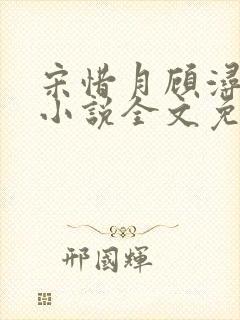 宋惜月顾浔渊的小说全文免费阅读
