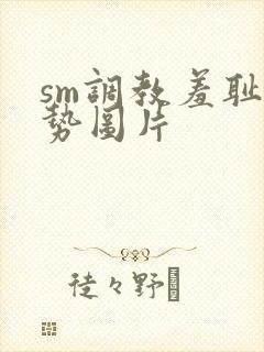 sm调教羞耻姿势图片