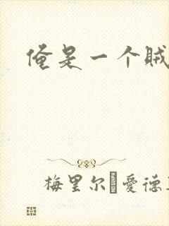 俺是一个贼