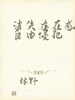 消失存在感消失自由侵犯