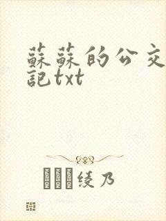 苏苏的公交车日记txt
