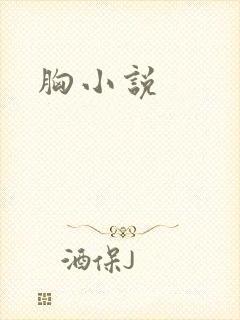 胸小说