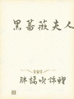 黑蔷薇夫人