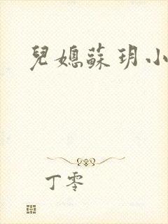 儿媳苏玥小说