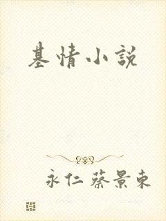 基情小说