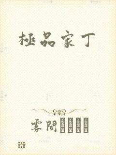 极品家丁封面