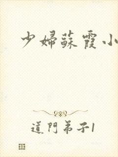 少妇苏霞小说