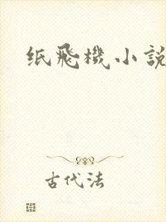 纸飞机小说