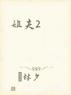 姐夫2