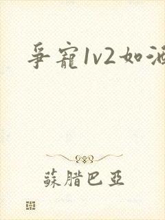 争宠1v2如酒封面