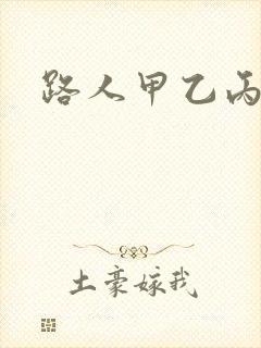 路人甲乙丙丁封面
