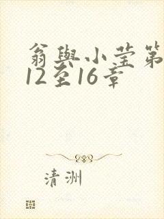 翁与小莹第十部12至16章封面