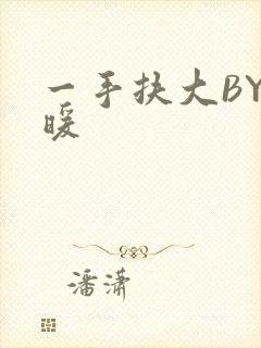 一手扶大BY泱暖封面