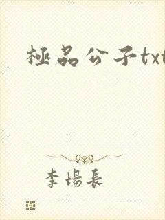 极品公子txt