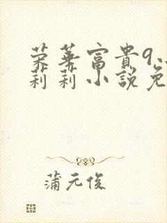 荣华富贵9小王莉莉小说免费阅读