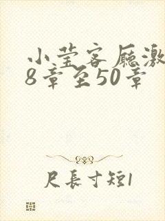 小莹客厅激情38章至50章封面