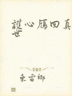 护心雁回真实身世封面