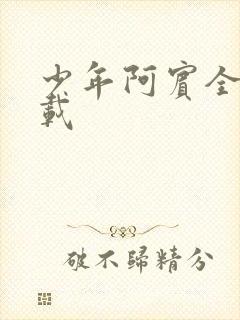 少年阿宾全集下载封面