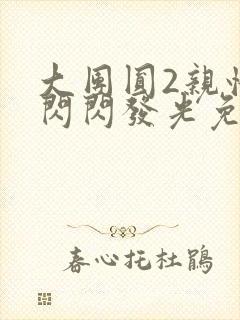 大团圆2亲情会闪闪发光免费