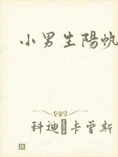 小男生阳帆