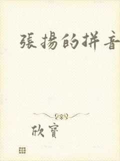 张扬的拼音封面